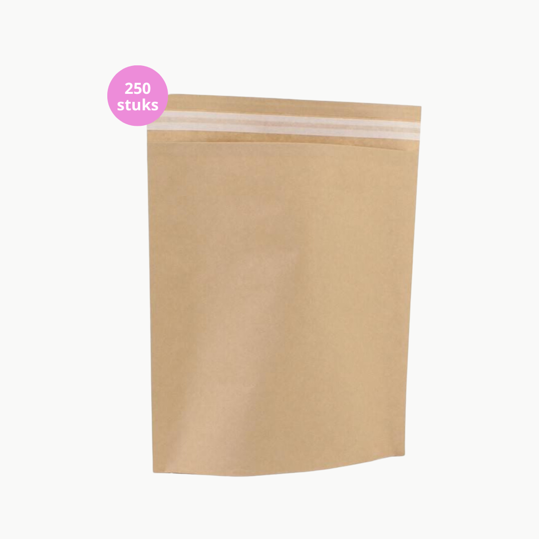Paper Shipping Bag Kraft